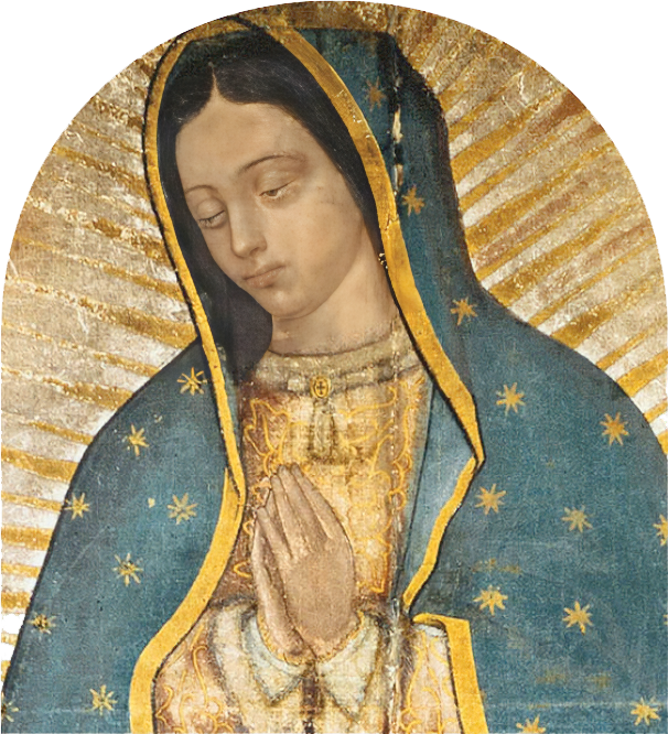 Instituto Bíblico Católico Diócesis de Tabasco