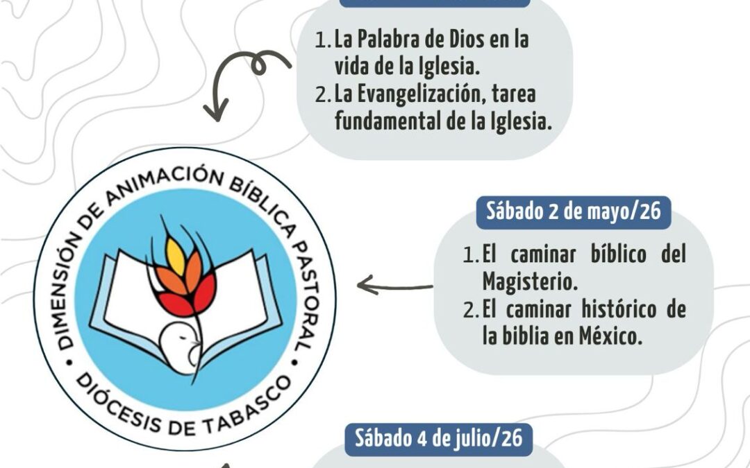Programa del Estudio de Directrices